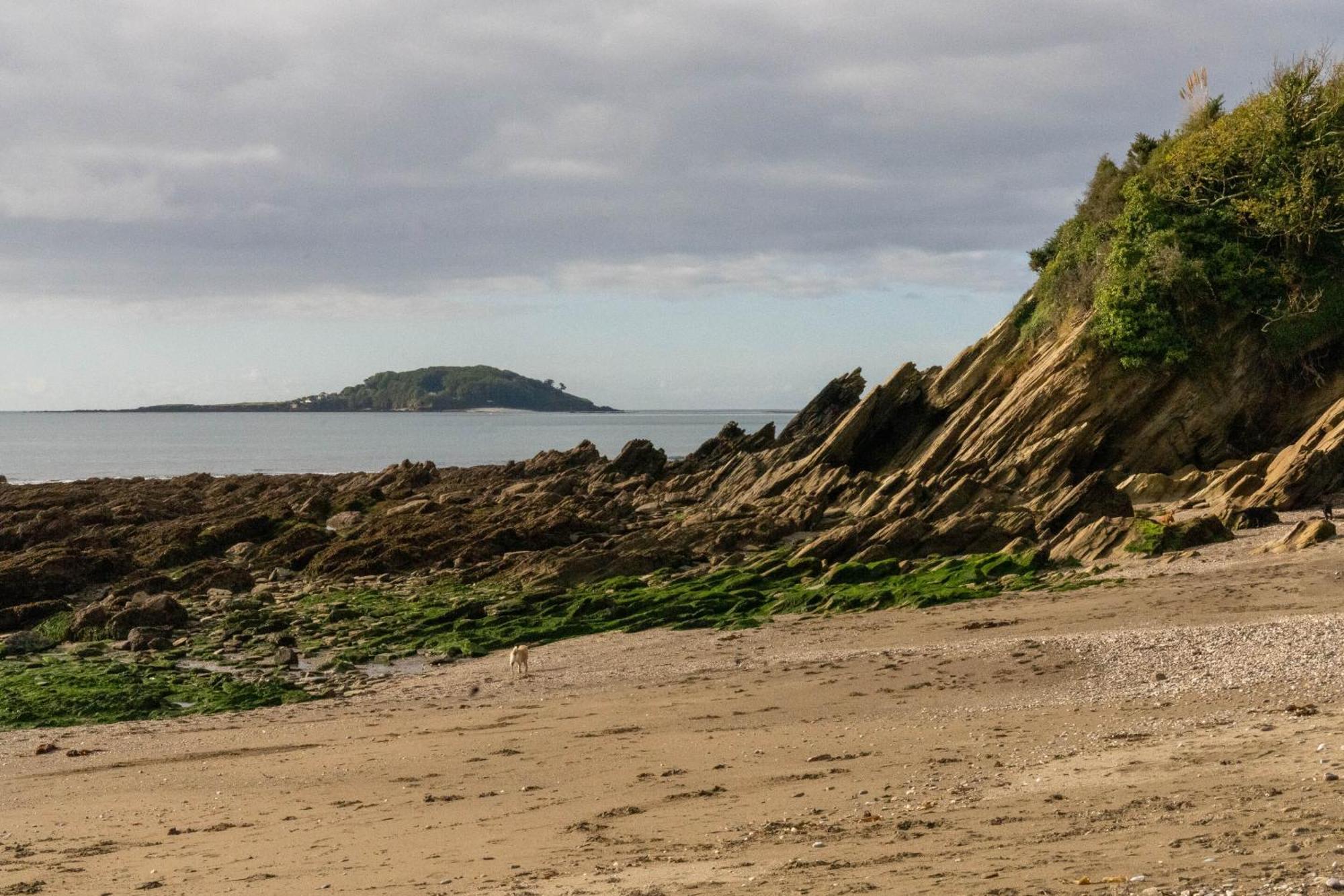 Pet Friendly Sea View Villa Millendreath Looe Room photo